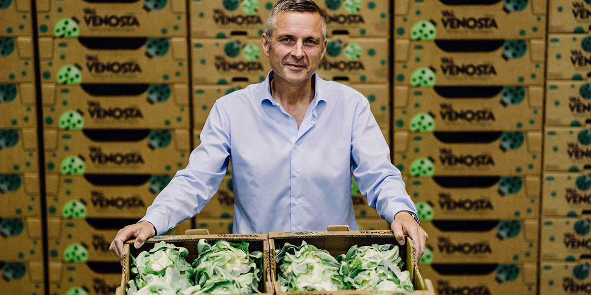 Cavolfiore Vip, la campagna promette bene